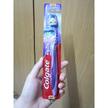 berus gigi colgate soft
