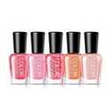 ยาทาเล็บเจล COLOR NAIL WATER BASED PEELABLE NAIL POLISH 5สี ใน 1 Set(กล่อง) ขนาด 5mlx5 bottles (ml)