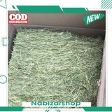 Harga Alas Kucing Rumput Terbaru November 2021  BigGo Indonesia