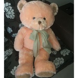 kaison soft toy price