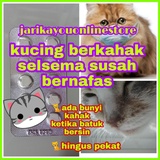 Ubat Kahak Kucing Price u0026 Promotion - Nov 2021 BigGo Malaysia
