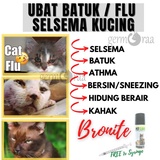 Ubat Selsema Kucing Kahak Price u0026 Promotion - Nov 2021 BigGo Malaysia