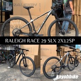 raleigh race mtb