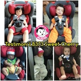 sweet cherry car seat manual