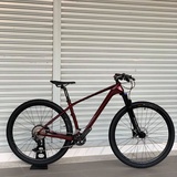 alcott dino mtb