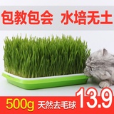 Rumput Kucing Set Price u0026 Promotion - Nov 2021 BigGo Malaysia