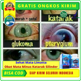 Harga Obat Mata Katarak Kucing Terbaru November 2021  BigGo Indonesia