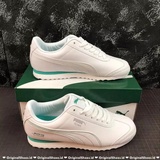 puma roma original
