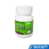 Co2 錠水草的價格推薦 21年9月 比價比個夠biggo