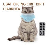 Ubat Kucing Cirit Birit Muntah Price u0026 Promotion - Nov 2021 BigGo 