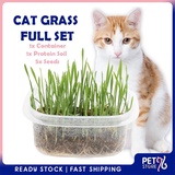 Rumput Kucing Pokok Price u0026 Promotion - Nov 2021 BigGo Malaysia