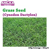 Rumput Bermuda Grass Price u0026 Promotion - Jan 2022 BigGo Malaysia