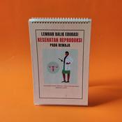 Harga Lembar Balik Kesehatan Remaja Terbaru Juli 2022 Biggo Indonesia