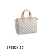 Vuitton Speedy 25 usato in Italia | vedi tutte i 2 prezzi!