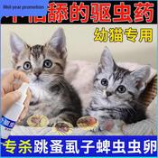 Ubat Kutu Anak Kucing Price u0026 Promotion - Nov 2021 BigGo Malaysia