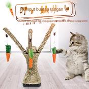 Rumput Kucing Pokok Price u0026 Promotion - Nov 2021 BigGo Malaysia