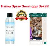 Fungus Killer Cats Price u0026 Promotion - Nov 2021 BigGo Malaysia