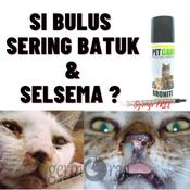Kahak Anjing Price u0026 Promotion - Nov 2021 BigGo Malaysia