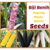 Jagong Hitam Price u0026 Promotion - Dec 2021 BigGo Malaysia