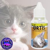 Harga Obat Telinga Kucing Gatal Terbaru November 2021  BigGo 