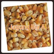 Jagung Ayam Biji Price Promotion Nov 2021 Biggo Malaysia