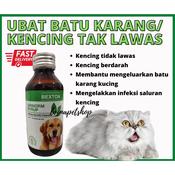 Kucing Kencing Berdarah Price Promotion Nov 2021 Biggo Malaysia