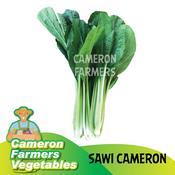 Sayur Segar Cameron Price Promotion Nov 2021 Biggo Malaysia