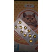 Kucing Kencing Berdarah Price u0026 Promotion - Nov 2021 BigGo Malaysia