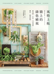 風格上板—牆上的綠色植栽:鹿角蕨.石松.空氣鳳梨.蘭花.觀葉植物