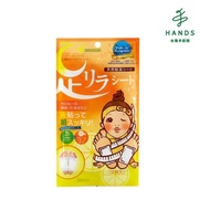 【HANDS 台隆手創館】日本天然竹酢貼布-葡萄柚2片入