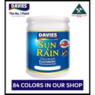 DAVIES 1 liter Sun and Rain Odorless Elastomeric Paint for Concrete/Masonry (Page 1)