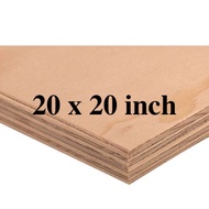 20 x 20 inches pre-cut premium marine plywood