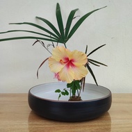 Ikebana Suiban flat vase suitable for Japanese flower arrangements.