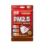 天天PM2.5專業防霾口罩 B級 (2入)