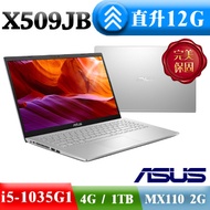 ASUS X509JB-0121S1035G1 冰柱銀 (I5-1035G1/4G+8G/1TB/ MX 110 2G / 15.6 FHD / Win10)特仕