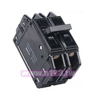 士林電機 無熔絲斷路器 無熔絲開關 BH 2P 10A 20A 30A 40A 50A