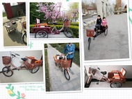 🚴Ready stock🚴Elderly Tricycle Elderly Pedal Human Tricycle Adult Leisure Shopping Cart Pedal Bicycle Manned Truck
