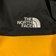 the North Face Mountain Q 1990 Jacket