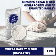[PREMIUM] Wheat Barley Flour (Diastatic) - 1KG [ With Diastatic, Bread Flour, Japan flour, Unbleached, High Protein ]