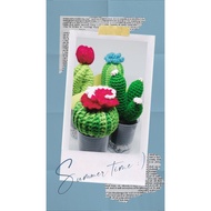 [HANDMADE]Crochet cactus plant teacher's day gift birthday gift children day gift