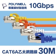 POLYWELL CAT6A 超高速乙太網路線 S/FTP 10Gbps 30M