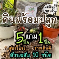 ส่งฟรี…!!ดินปลูกต้นไม้ ไฟปลูกต้นไม้ ดินปลูกแคคตัส ดินปลูกแคคตัส ดินปลูกกระบองเพชร ดินปลูกไม้อวบน้ำ สูตรโปร่งพิเศษ รากเดินดี ดินแ..ดิน, ปุ๋ย และอุปกรณ์เพาะชำ..!!
