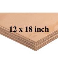 12 x 18 inches pre-cut premium marine plywood