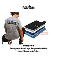 Patagonia P-6 Logo Responsibili-Tee 山景 漸層 短袖 多色 環保  厚磅 現貨