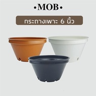 MOB กระถางเพาะเมล็ด 6 นิ้ว กระถาง ทรงเตี้ย ปากกว้าง กระถางต้นไม้พลาสติก แคคตัส กระบองเพชร ไม้อวบน้ำ