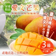 【好揪】屏東枋山愛文芒果 3盒(5斤±10%/盒)