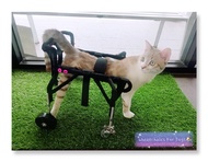 วีลแชร์สุนัข แมว สำหรับพิการขาหลัง ขนาดไซส์ XS. สัตว์เลี้ยง รถเข็น wheelchair dog **ติดต่อร้านค้าก่อนสั่งซื้อ**โดยสัตวแพทย์