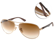 RAY BAN太陽眼鏡 率性飛官款/金-棕 #RB8313 00151