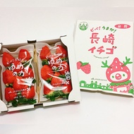 ★長崎日本草莓★ ◆原裝2包入 ▶︎大果粒甜蜜好滋味_最美果物_帶花果香氣_情人節_春節【菓實屋】