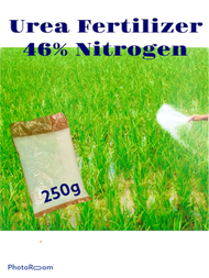 Urea plants Fertilizer 46% Nitrogen 250g (repack)